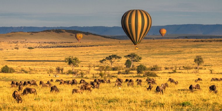 014 Masai Mara.jpg